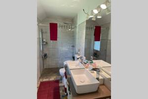 a bathroom with a white sink and a shower at Grandma's House in Radlje ob Dravi +16 photos