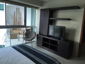 TV tai viihdekeskus majoituspaikassa River View Suites Guayaquil
