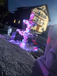 阿列谢尼Casa Raluca的坐在塔楼前的人,灯火