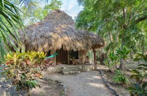 a beach with a tree and palm trees at Villas Ecotucan in Bacalar