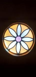 a ceiling light with a flower design on it at Kitnet na Rua Sapucai in Belo Horizonte