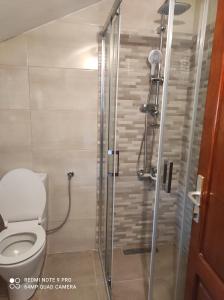 a bathroom with a toilet and a shower at Apartments Papan in Petrovac na Moru