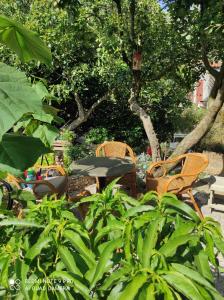 a group of chairs and a table in a garden at Apartments Papan in Petrovac na Moru