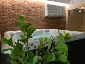 Fotografie z fotogalerie ubytování Manca Loft & SPA v destinaci Mechelinki