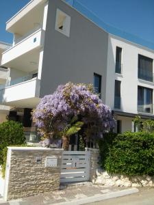 un edificio bianco con un albero con fiori viola di Opera 3 a Zara (Zadar)