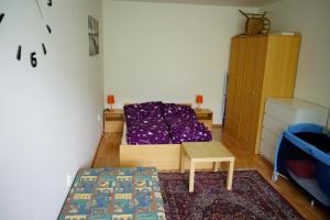 Fotografie z fotogalerie ubytování Horské apartmány Horní Lipová v Lipové-lázních
