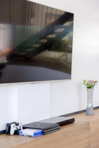 TV a/nebo společenská místnost v ubytování Luxury Villa Complex