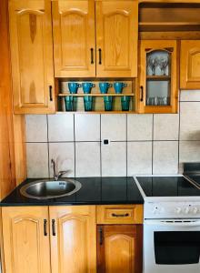 Nhà bếp/bếp nhỏ tại Apartmani d&s