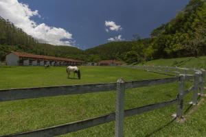 a horse grazing in a field behind a fence at Resort Fazenda 3 Pinheiros in Engenheiro Passos