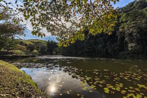 a river with lily pads in the water at Resort Fazenda 3 Pinheiros in Engenheiro Passos