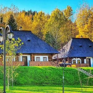 a house in the middle of a yard with trees at Vatra Boiereasca in Cacica