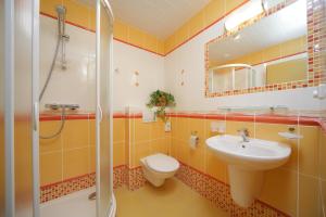 Gallery image of Elisabeth Pension in Špindlerův Mlýn