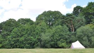 a white tent in a field next to trees at Immaculate and cosy Bell tent in Shaftesbury UK in Shaftesbury