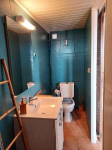 La salle de bains est pourvue de toilettes et d'un lavabo. dans l'établissement La cabane du pêcheur, au Gosier