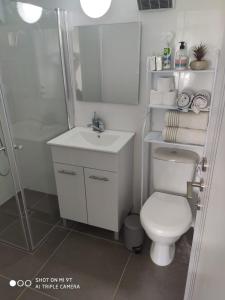 uma casa de banho com um WC, um lavatório e um chuveiro em גני התניא em Safed
