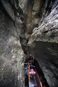 Fotografie z fotogalerie ubytování Pension Wildental v destinaci Sankt Martin bei Lofer