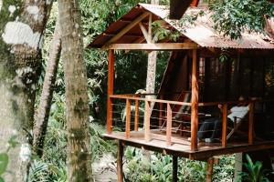 Zahrada ubytování Calala Lodge