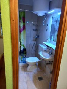 Koupelna v ubytování Astra apartman