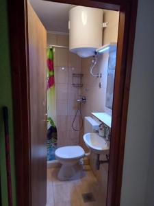 Koupelna v ubytování Astra apartman
