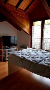 Perles-et-Castelet的住宿－Maison au cœur des Pyrénées，一间卧室配有一张大床和电视
