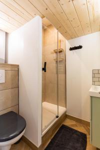 a bathroom with a shower and a toilet at DIFY Joseph Bonnet - Croix Rousse in Lyon