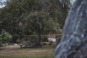Aed väljaspool majutusasutust Bergrose Hideaway
