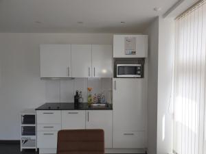 Köök või kööginurk majutusasutuses Schönes Studio in Arbon am Bodensee Neu Klimatisiert !