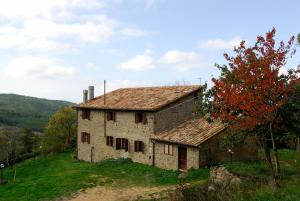 stary kamienny dom na szczycie wzgórza w obiekcie A stay surrounded by greenery - Agriturismo La Piaggia -app 3 guests w mieście Vivo dʼOrcia
