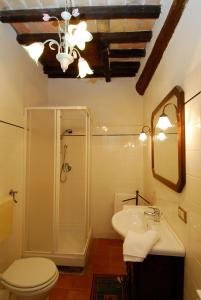 ein Bad mit einer Dusche, einem WC und einem Waschbecken in der Unterkunft A stay surrounded by greenery - Agriturismo La Piaggia -app 3 guests in Vivo dʼOrcia