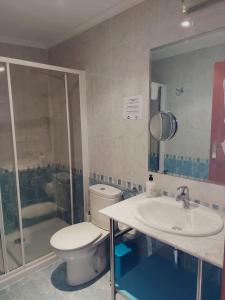 W łazience znajduje się toaleta, umywalka i prysznic. w obiekcie HOTEL RURAL San Pedro w mieście Frómista