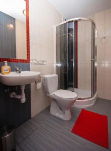 y baño con aseo, lavabo y ducha. en Apartamenty Antonio, en Kudowa-Zdrój