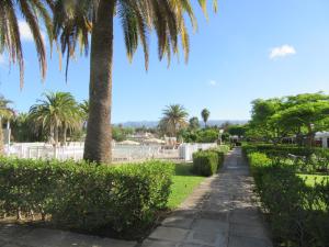 A garden outside Bungalow Los Melocotones