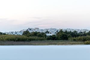 Природа в окрестностях виллы