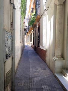 un callejón vacío con una carretera de ladrillo entre dos edificios en Luminoso y amplio apartamento en el centro histórico de Sevilla, en Sevilla