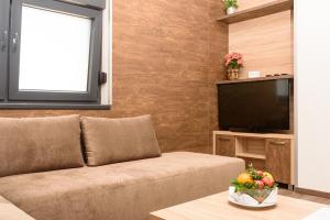TV a/nebo společenská místnost v ubytování Holiday Park Zagyland