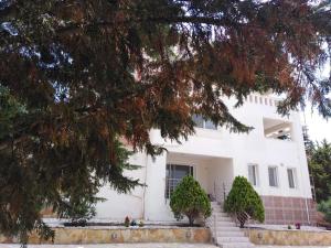 Gallery image of Treasures B&B in Paloúkia +44 photos