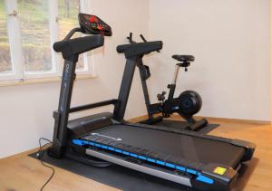 an exercise bike on a treadmill in a room at Haus Belchenwiese in Kleines Wiesental