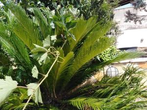 Gallery image of Treasures B&B in Paloúkia