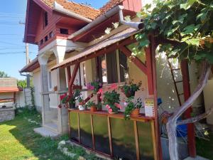Una casa con plantas en macetas en un balcón. en Casa Argentina, en Cârţişoara