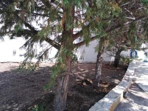 Gallery image of Treasures B&B in Paloúkia