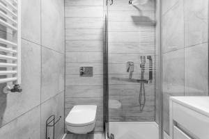 a bathroom with a shower with a toilet and a sink at VIP House Apartamenty in Sztutowo