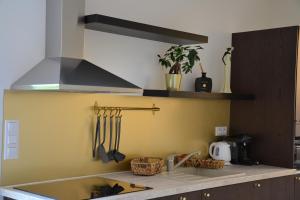 Kuchyňa alebo kuchynka v ubytovaní Apartmany u Polanských Lednice