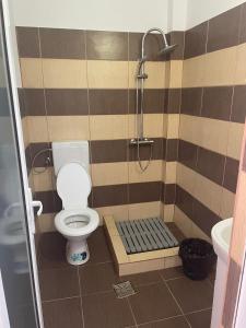コスティネシュティにあるCasa Romanの小さなバスルーム(トイレ、シャワー付)