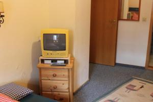En tv och/eller ett underhållningssystem på Gasthof Butz