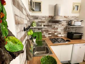 Kuchyňa alebo kuchynka v ubytovaní Baglio Reale Apartments