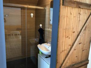 une salle de bain avec un lavabo et une douche en verre dans l'établissement Haus am See mit Steg, Boot, Kamin und Sauna - Mecklenburgische Seenplatte, à Blankensee 32 autres photos