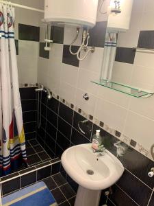 bagno con lavandino e specchio di Vila Darija Zlatar - studio apartman br 1 a Nova Varoš