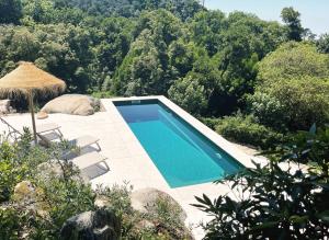 a swimming pool with chairs and trees in the background at Eighteen21 Houses - Quinta Velha in Sintra +40 photos