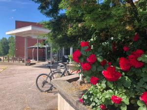 a bunch of red roses in a planter next to a bike at Hotel & Hostel Silmu in Evitskog
