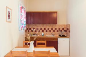 Kuchyň nebo kuchyňský kout v ubytování Kamini Apartments